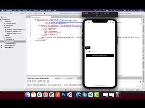 Xamarin Forms Masking Entry Fields