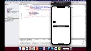 Xamarin Forms Masking Entry Fields