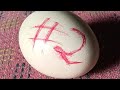 RAW EGG PEELING LIVE 00:02