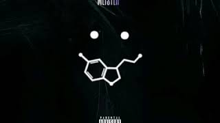 Meister - Serotonin  Resimi