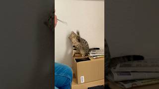 Here is a throwback to 2021