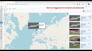 Real-time Bird Detection at Fish Farm - powered by IronYun x Aicuda