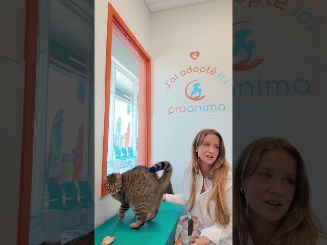 🤍🐾🐈