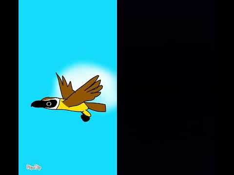 Mas o Pato haha