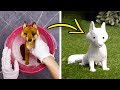 22 FANTASTIC CEMENT AND CLAY DIY IDEAS 22 FANTASTIC CEMENT AND CLAY DIY IDEAS