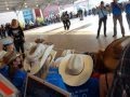 Salone del Cavallo Americano 2015