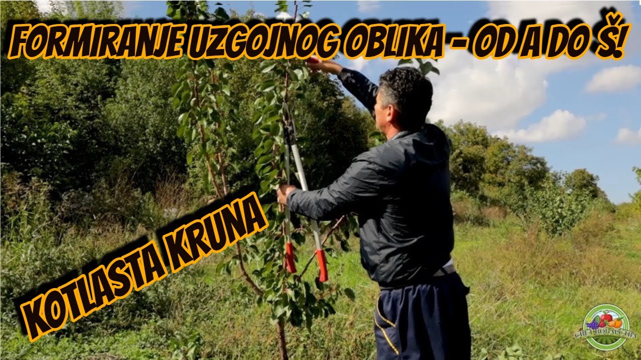 Svet voćarstva ep. 22 26.10.2024. Jesenja rezidba kajsije na zrelo, Nebojša Graić, pitanja gledalaca