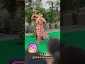 Ana&Iru HULA