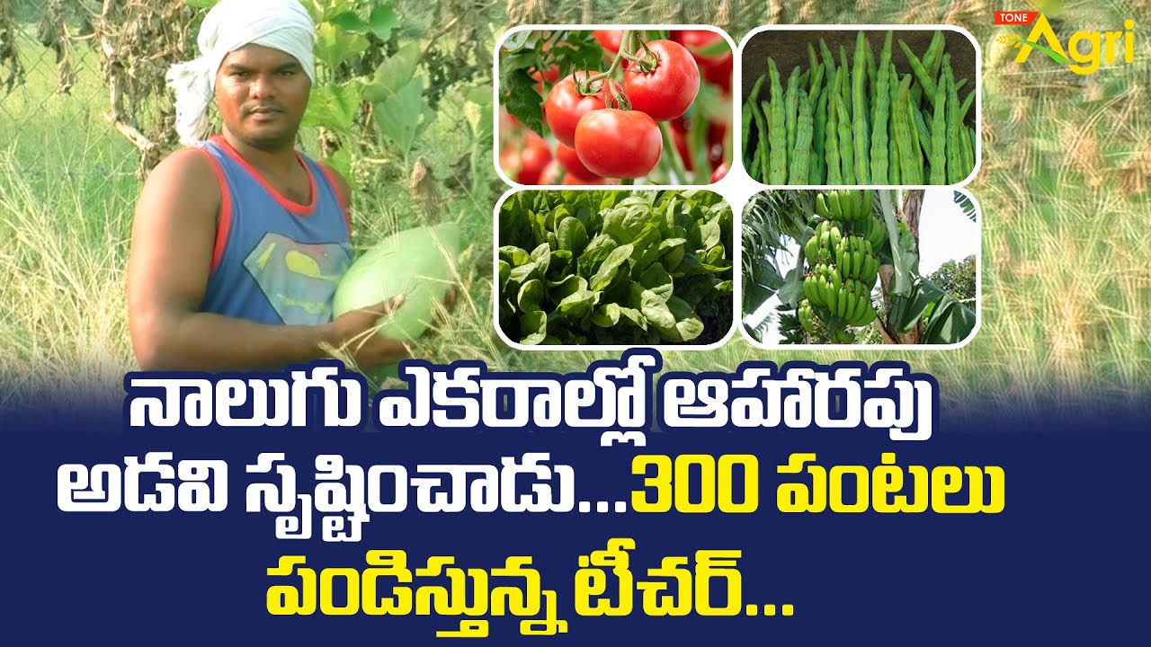 Mini Food Forest | నాలుగు ఎకరాల్లో ఆహారపు అడవి - 300 పంటలు | Teacher Cum Farmer | Tone Agri
