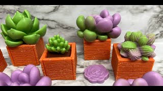 Succulent & Planters wax melts