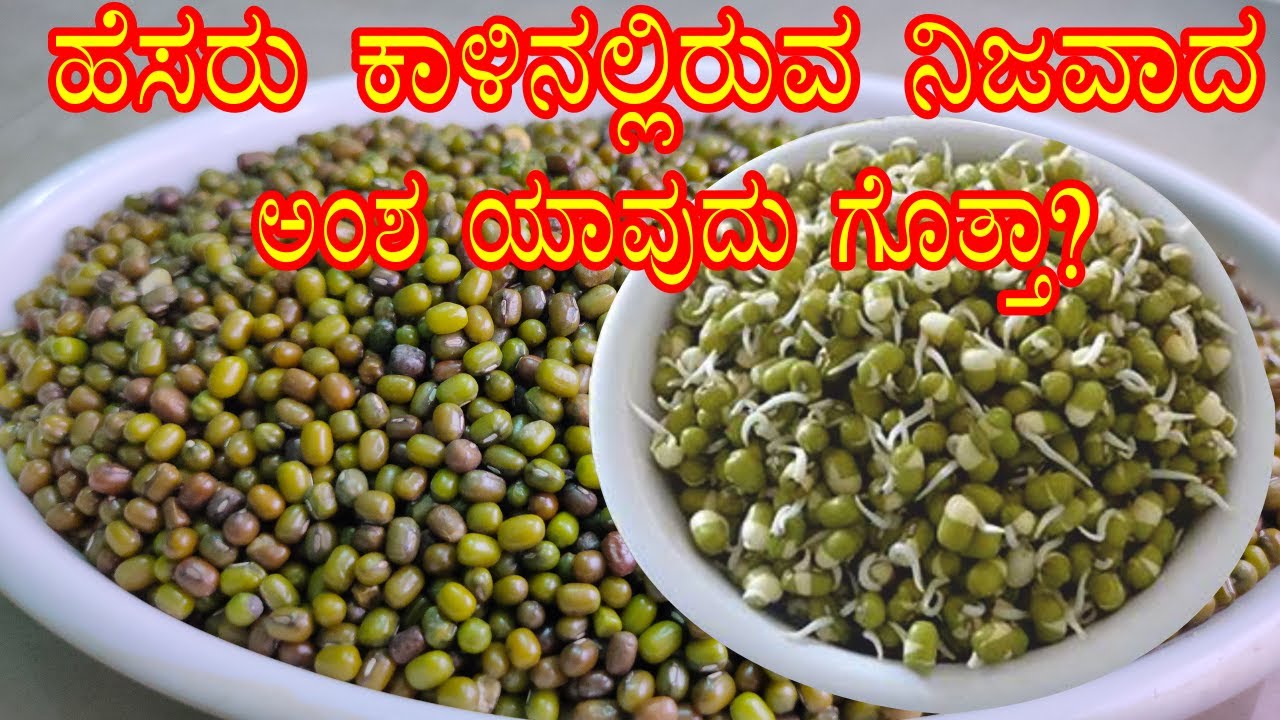 ಗೊತ್ತದ್ರೆ ಶಾಕ್‌ ಆಗ್ತೀರಾ? ಹೆಸರು ಕಾಳಿನಲ್ಲಿ ಅಂತದೇನಿದೆ? Hesaru Kalu | Moong Dal Benefits by Food Media