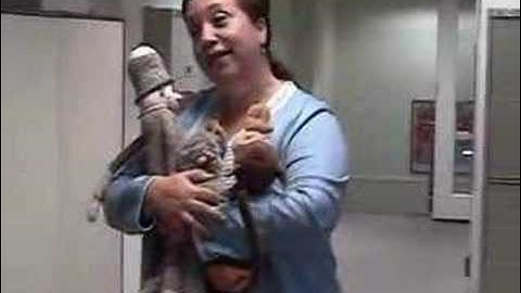 The One Minute Manager Meets the Monkey Part1