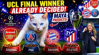 UCL Final Winner Already Decided! Maya Predicts Arsenal PSG Bayern Atletico