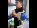 Croki Meets Monkey