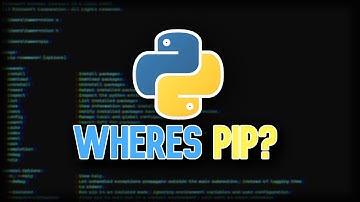 No PIP? FIX THIS ISSUE IN 2 MINUTES!