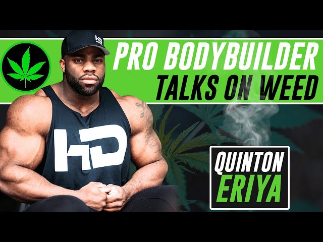 do bodybuilders smoke cigarettes IFBB Pro Bodybuilder Quinton Eriya on Weed in Bodybuilding | Does Marijuana help Bodybuilding? do bodybuilders smoke cigarettes IFBB Pro Bodybuilder Quinton Eriya on Weed in Bodybuilding | Does Marijuana help Bodybuilding?