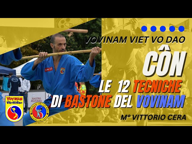 Vovinam Tutorial - Bastone lungo - Le 12 tecniche di contrattacco