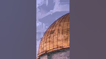 ﴿وَلا تَحسَبَنَّ الَّذينَ قُتِلوا﴾ سورة{آل عمران ١٦٩}