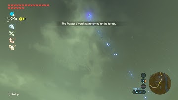 DROP MASTER SWORD IN BOTW (obviously still possible in 2021)