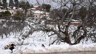 Nikon D750 Video test - Winter in Israel