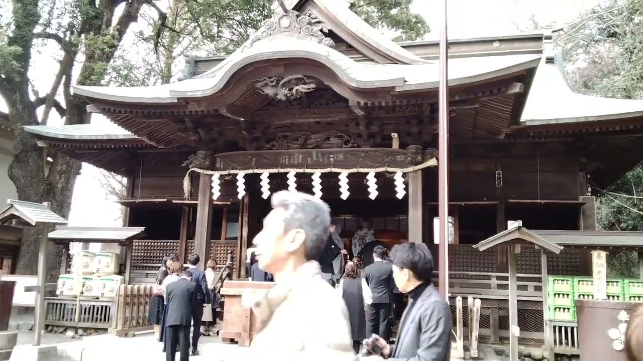 2025年2月　谷保天満宮に梅を見に行ったら結婚式に遭遇(^o^)