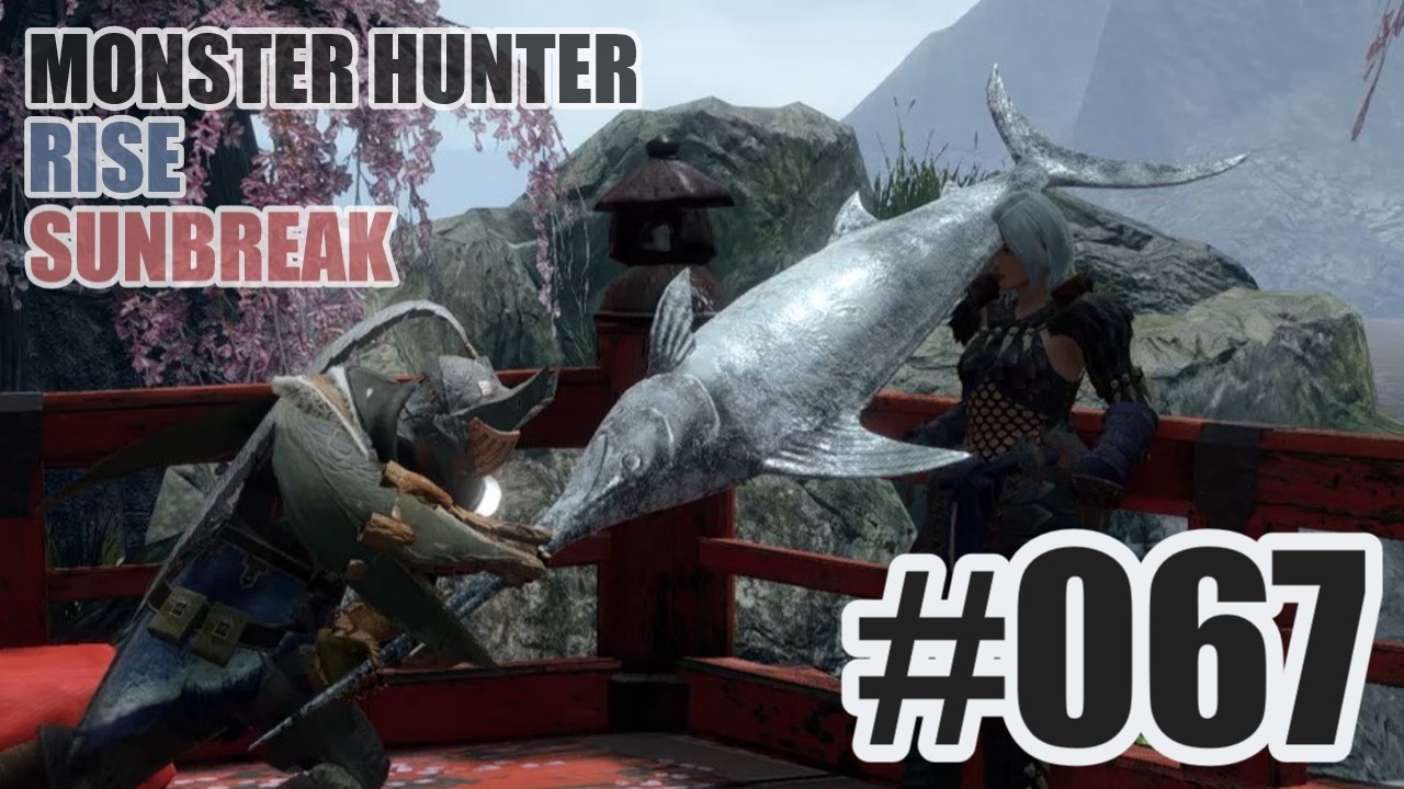 はじめてのモンハンを夜な夜な実況#067