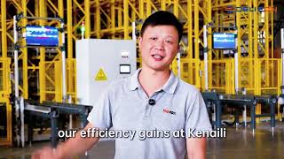 Revolutionizing the 5G Era: DELIECN Stacker Crane Smart Warehouse Project