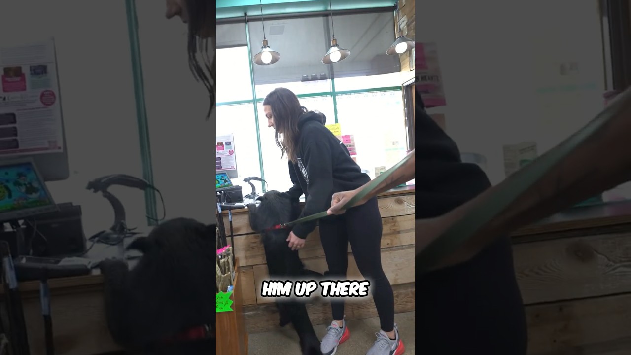 Amazing Binturong Interaction🧸🐈‍⬛🤯Unique Animal Experience!