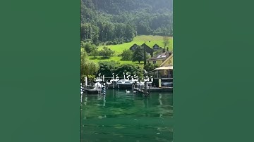 سورة الطلاق آية 2 و 3 للقارئ رعد الكردي 🐚🌱