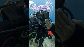 How to breathe with the SCUBA gear! #scubadiving #skills #learning #breathe #meditation