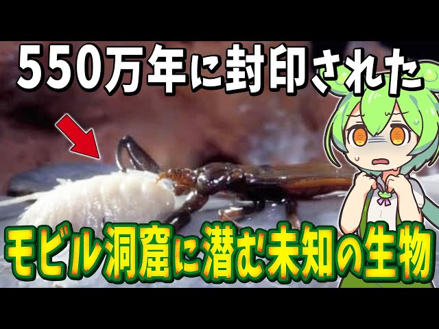 A mysterious creature lurking in a mobile cave sealed for 5.5
