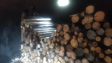 Pode colocar madeira no forno?