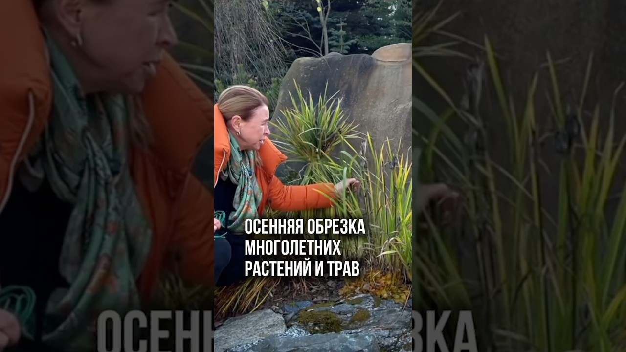 А какие многолетники вы всегда обрезаете осенью?!