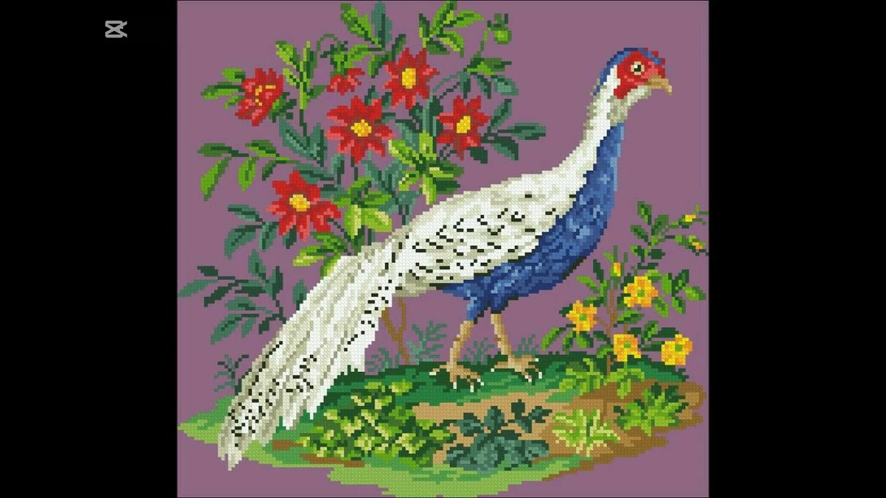 راشم جديد من طراز لحساب، مراجو إشتراك في القناة وليك وشكرا