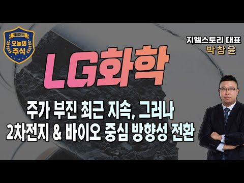 LG화학 2차전지 관련주 하락 및 본업단 석유화학 업황 부진 속 최근 주가 우하향 그러나 2차전지 및 바이오 중심 사업 전환 박창윤의 오늘의 주식 주가 투자 