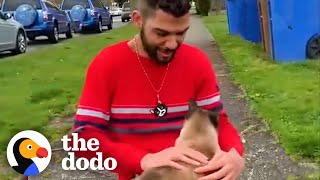 Guy Has Met 150 Cats Walking Through His Neighborhood | The Dodo Cat Crazy
