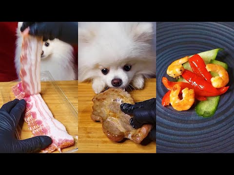 ASMR Mukbang | Best of Cooking & Eating with My Dog