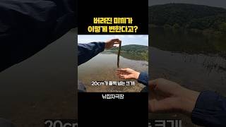 쓰레기주워서 낚시하는 ㄴ개념남 #shorts