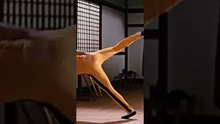 Bruce Lee High-Speed Kick Demo | Speed and Power Explode Together | Sora AI