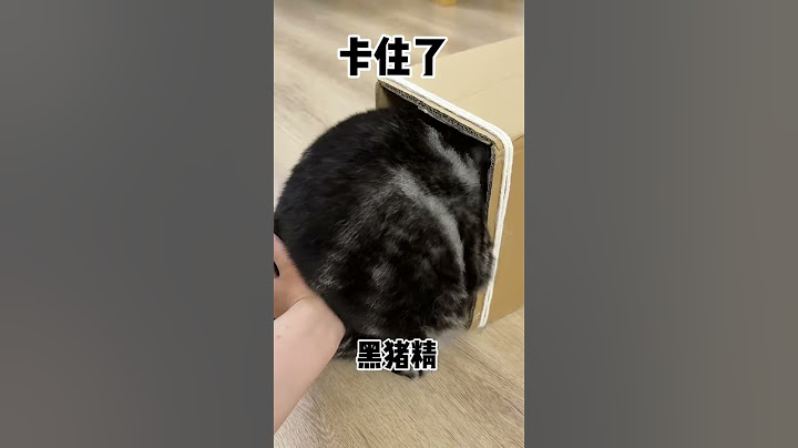 【牛奶是只猫】第一次做牛奶和酸奶的羊毛毡，结尾大家觉得怎么样呢？