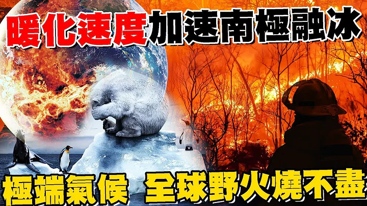 地球暖化 速度加速 南極融冰 極端氣候 全球野火燒不盡 海冰面積退縮創新低紀錄 衝擊企鵝生存【專題報導】健康2.0 @tvbshealth20 - 天天要聞