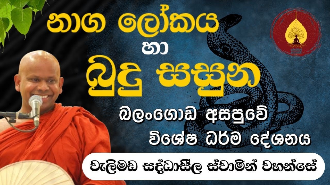 නාග ලෝකය හා බුදු සසුන, බලංගොඩ අසපුවේ විශේෂ ධර්ම දේශනය