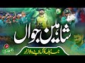 World t20 2021  tribute to pakistan cricket team  shaheen jawaan  rao mutahir  peace studio