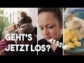 letzter Vlog? 41ssw und Tränen I Mellis Blog