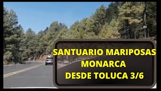 VAMOS A LAS MARIPOSAS MONARCA EN EL ESTADO DE MEXICO, MARAVILLAS NATURALES SON 6 VIDEOS AHI SALES TU