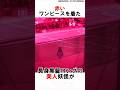 【ダンダダン】アニメ第6話アクロバティックサラサラの雑学 #アニメ #漫画 #shorts