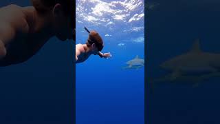 Me encontré a dos TIBURONES nadando en Hawaii ⚠️🦈