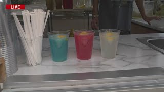 Hoppy's Lemonade at the Iowa State Fair