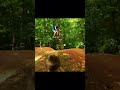Fails 🥱 vs epic fail 🙀.. #shorts #epicfails #fails #stunt #viral