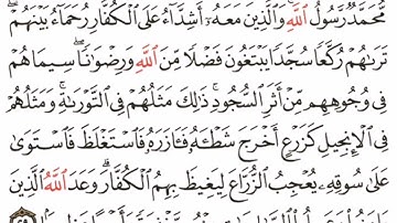 سورة الفتح آية ٢٩ #اكسبلور #القران#القاري attaullahfarooqi5219 عطاء الله فاروقي من الدوحة قطر